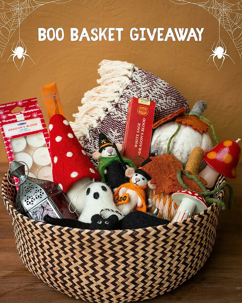 Win a Halloween-themed home bundle worth over £170