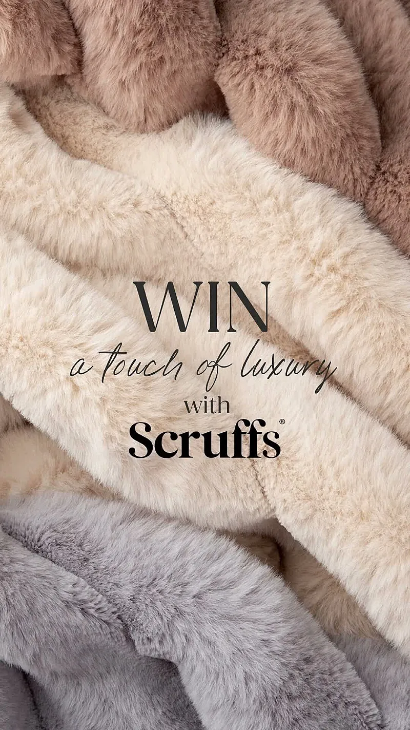 Win 3 x an Aspen blanket