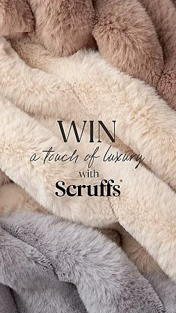 Prize image for Win 3 x an Aspen blanket