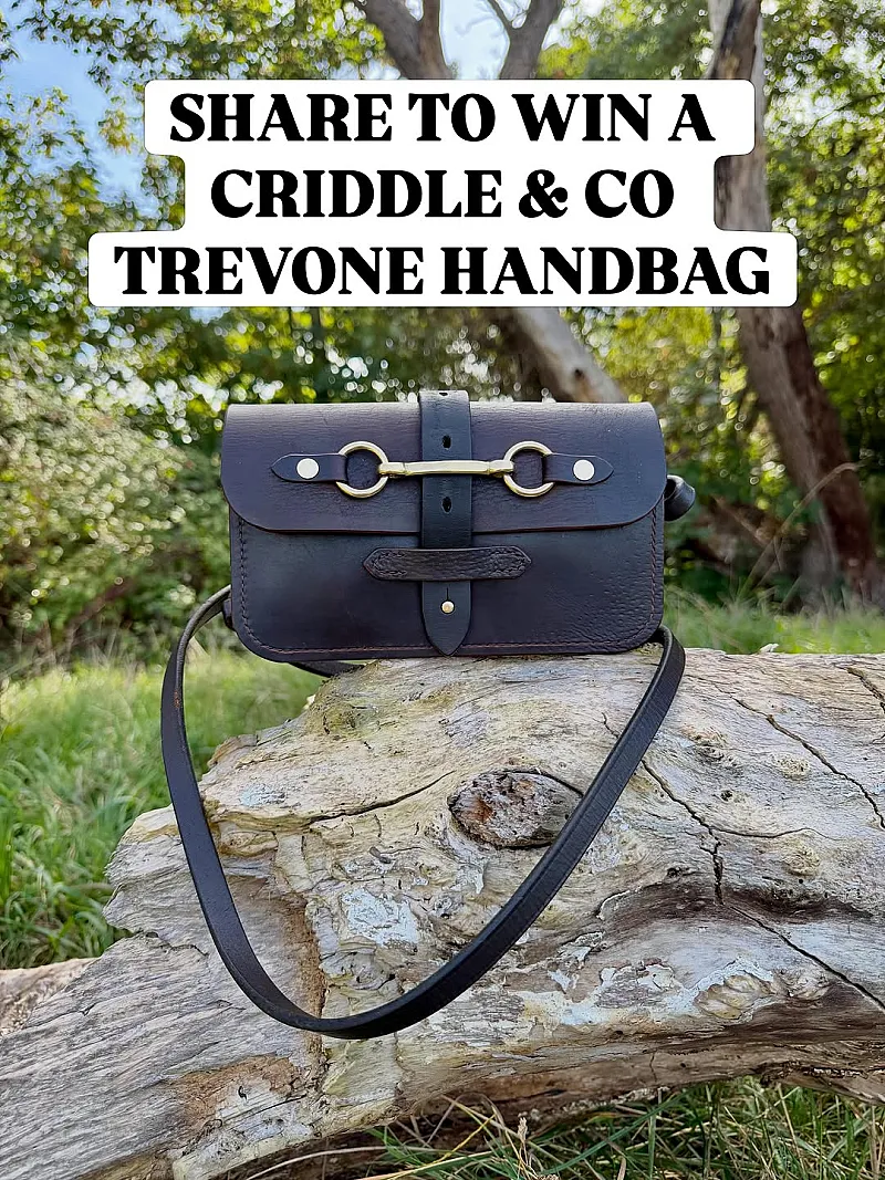 Win a Criddle & Co. Trevone Saddle Handbag