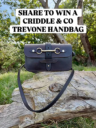 Prize image for Win a Criddle & Co. Trevone Saddle Handbag
