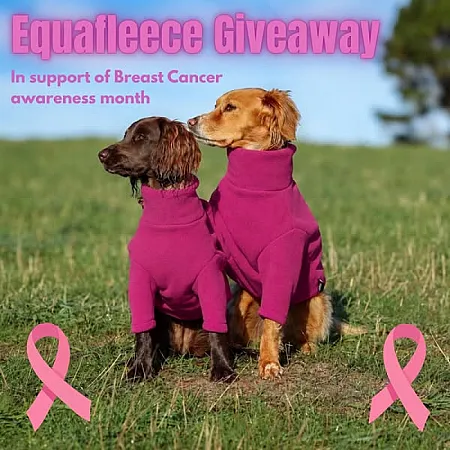 Prize image for Win a Equafleece Dog Jumper