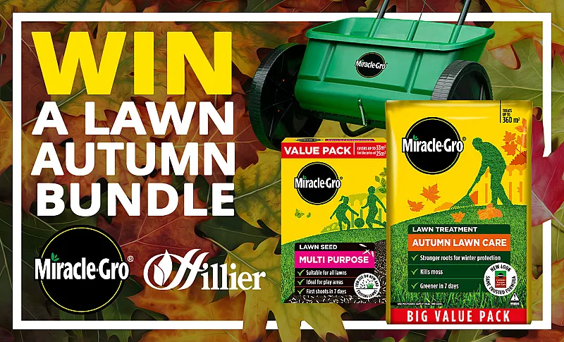 Win a Miracle-Gro Lawn Autumn Bundle