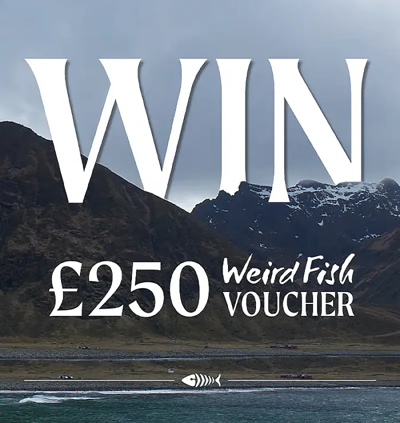Win £250 to spend at Weird Fish