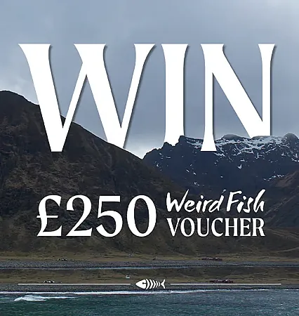 Win £250 to spend at Weird Fish