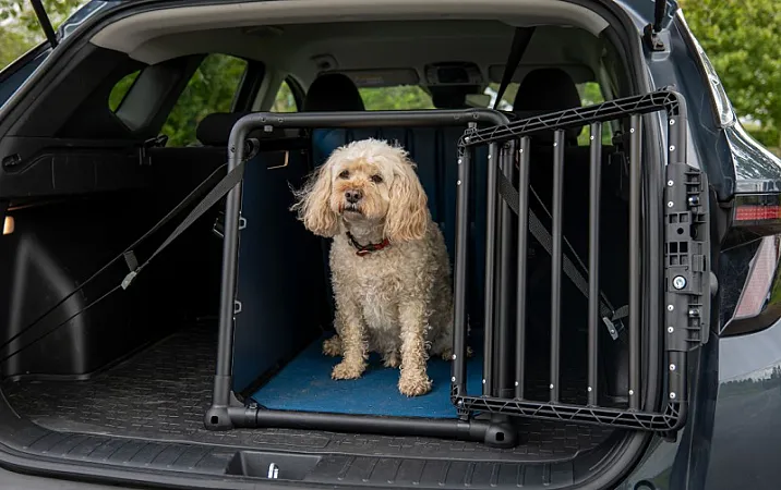 Win a £29 Travall dog crate for your car