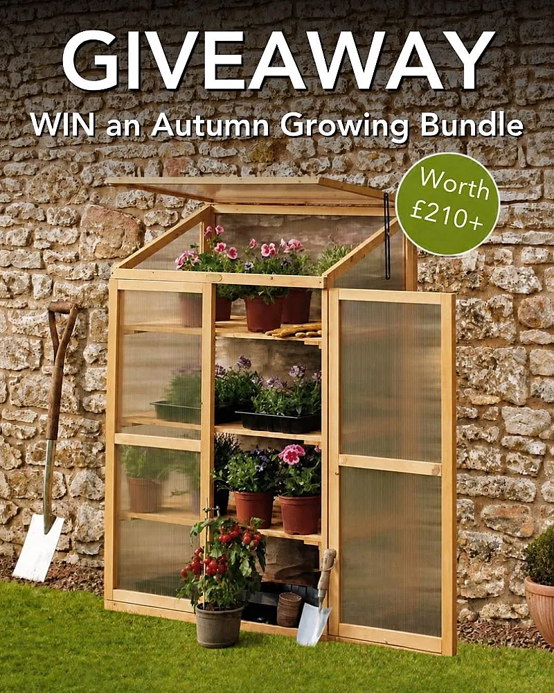 Win an Autumn Growing Bundle