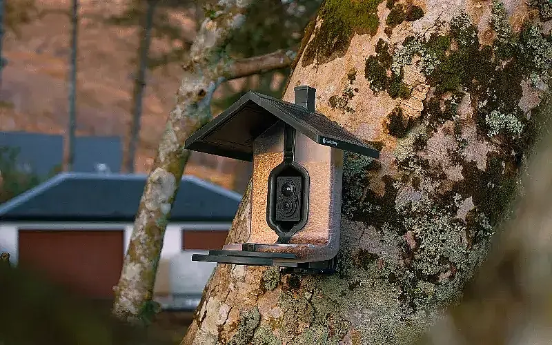 Win a FeatherSnap Scout plus a 1-year subscription