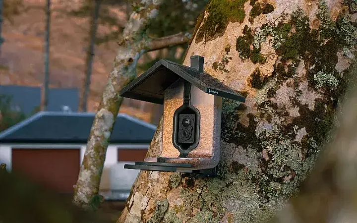 Prize image for Win a FeatherSnap Scout plus a 1-year subscription