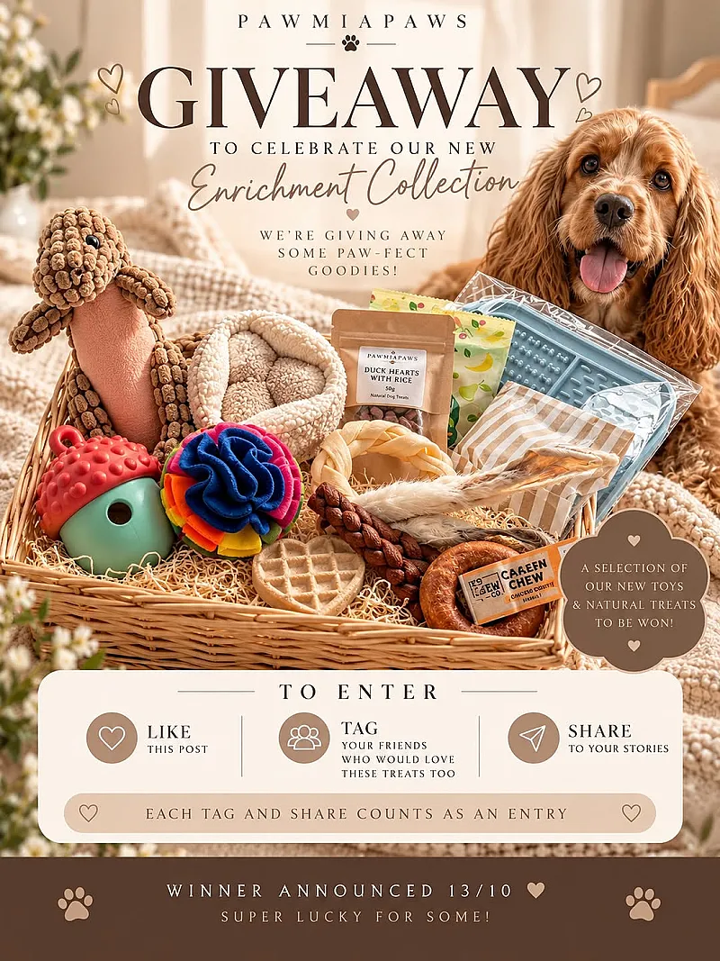 Win a PAWMIAPAWS Enrichment Collection