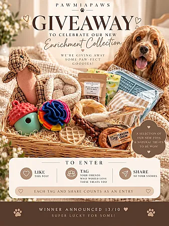 Prize image for Win a PAWMIAPAWS Enrichment Collection