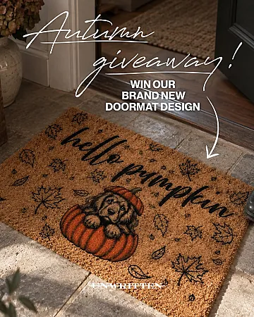 Prize image for Win a Halloween Doormat