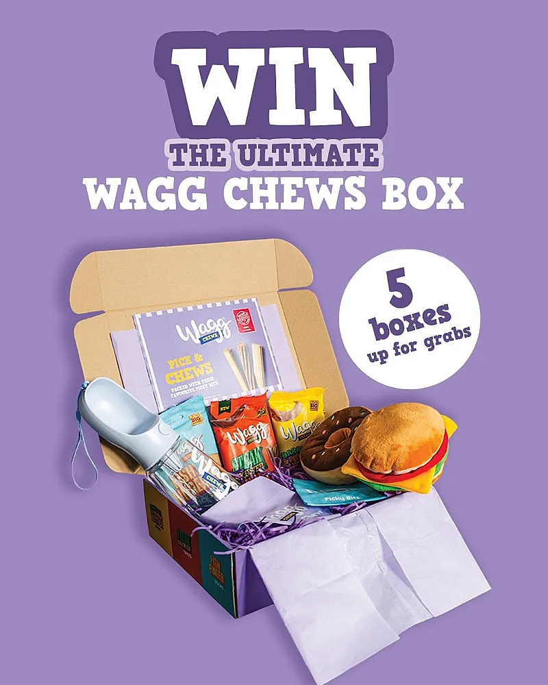 Win an Ultimate Wagg Chews Box