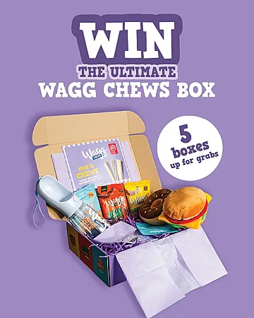 Prize image for Win an Ultimate Wagg Chews Box
