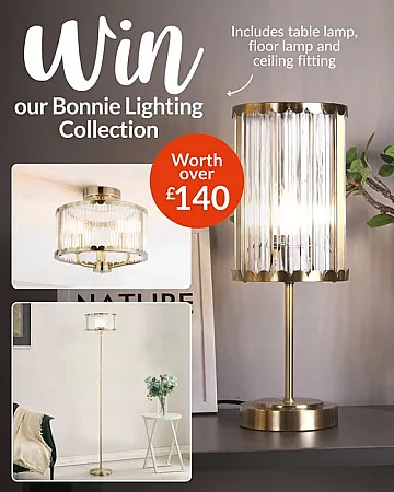 Prize image for Win a Bonnie Lighting Collection Bundle!