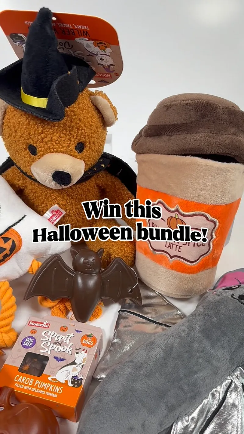 Win a spooky dog bundle packed full of Halloween toys and yummy treats