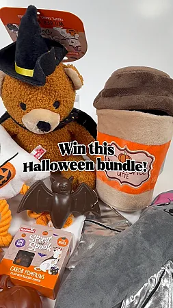 Prize image for Win a spooky dog bundle packed full of Halloween toys and yummy treats