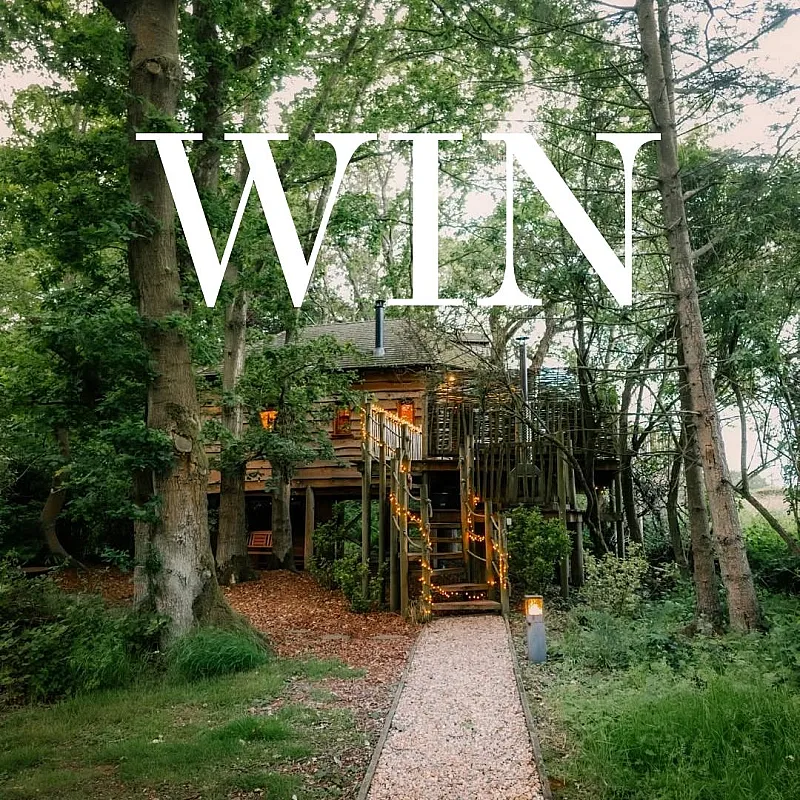 Win a Dreamy Treehouse Escape in Northumberland