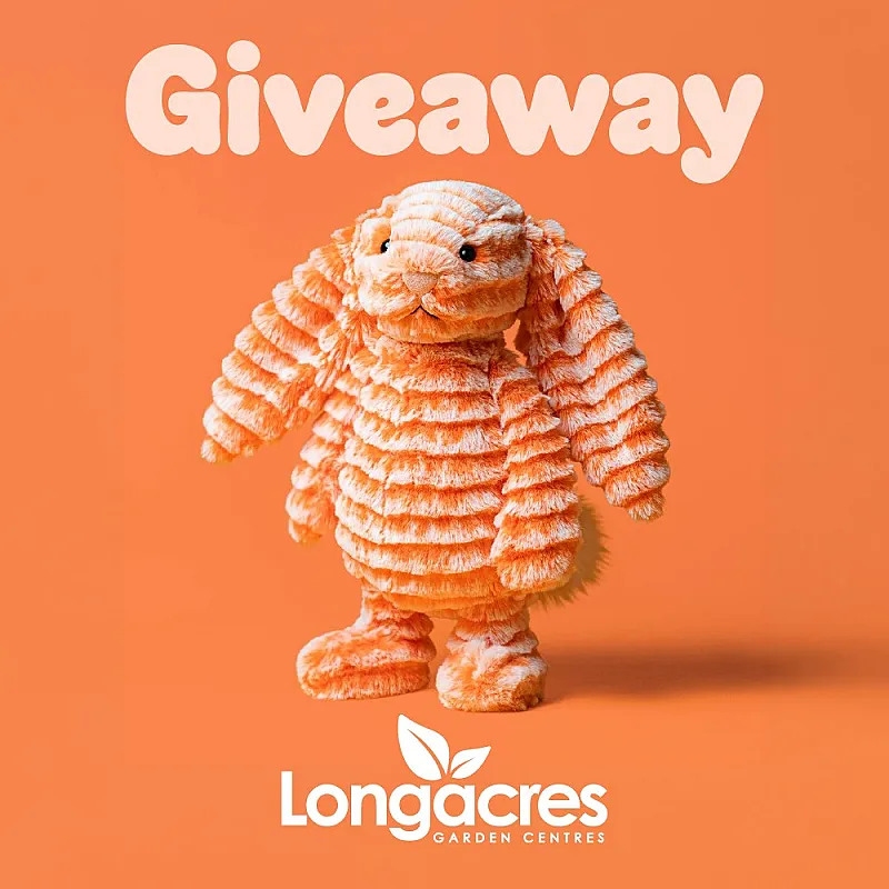 Win one of the Jellycat Fizzleskip Bunnies