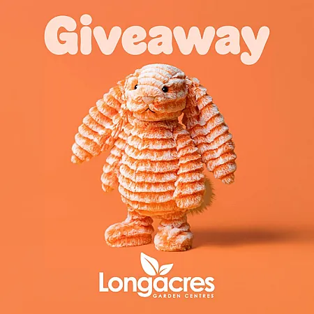 Prize image for Win one of the Jellycat Fizzleskip Bunnies