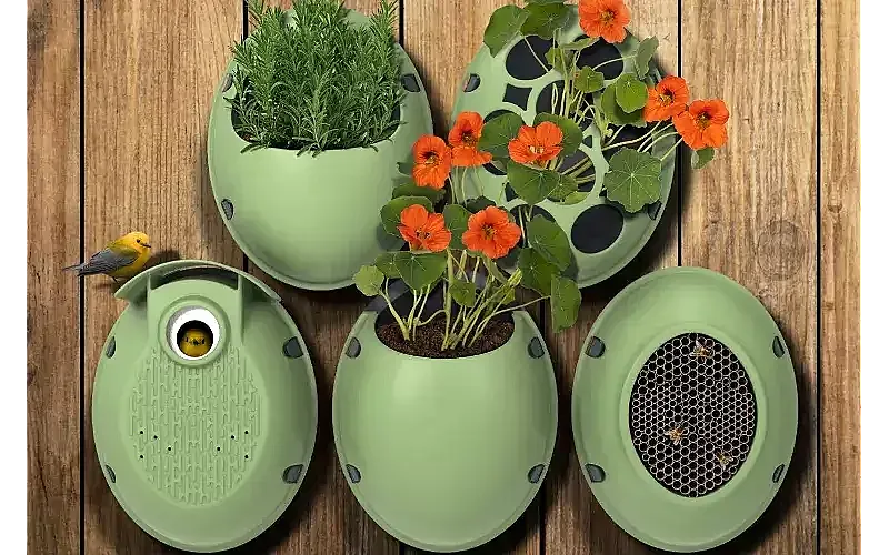 Win a plant & nature pod bundle from Eggologic