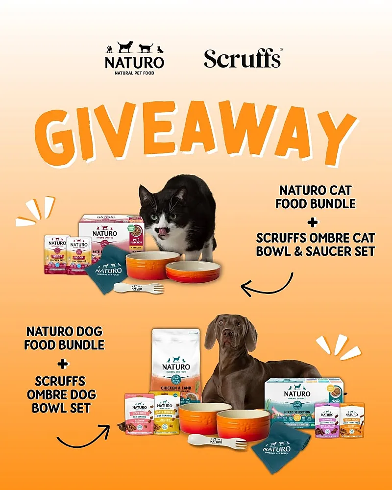 Win a Scruffs Ombre Orange Dog Bowl Set and Naturo Dog Food Bundle
