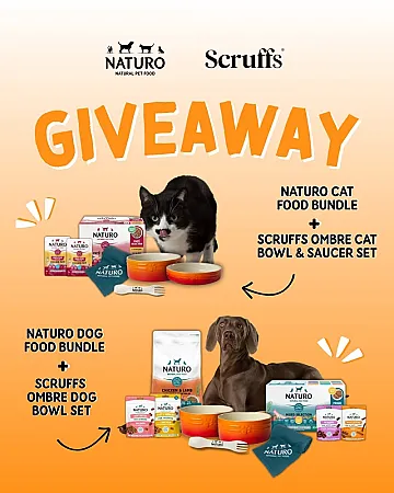 Prize image for Win a Scruffs Ombre Orange Dog Bowl Set and Naturo Dog Food Bundle