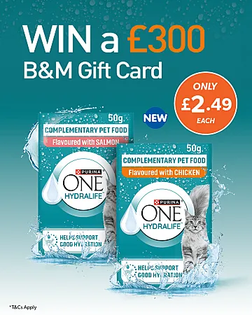 Prize image for Win a £300 B&M gift card