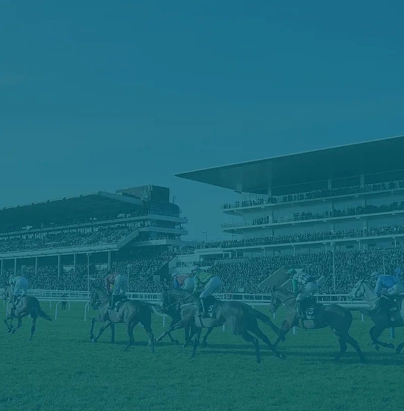 Win 2 Club Enclosure Tickets to Cheltenham Races