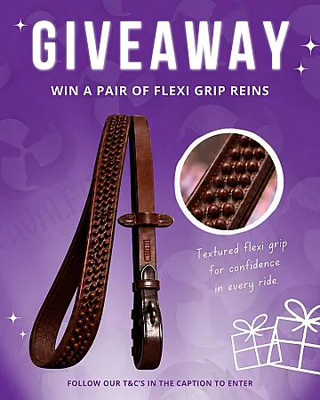 Prize image for Win a pair of Flexi Grip Rubber Reins