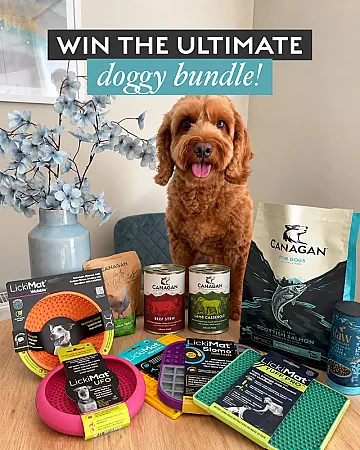 Prize image for Win an Autumn Enrichment Pack with Nutrition and a LickiMat