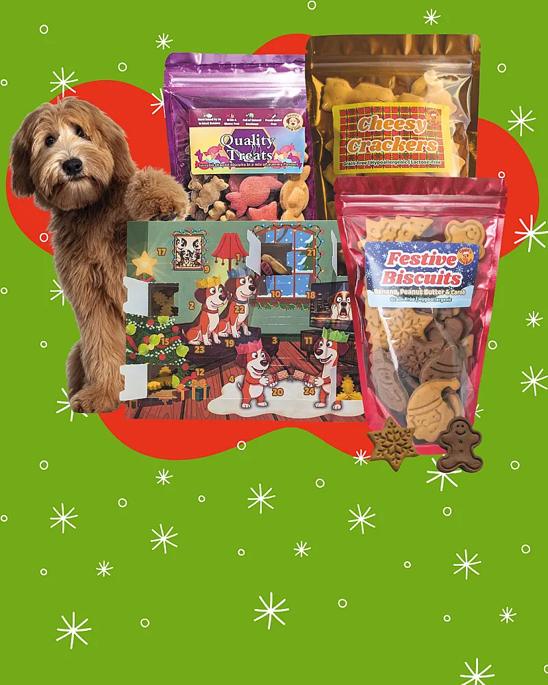 Win A Vegan Dog Treat Bundle