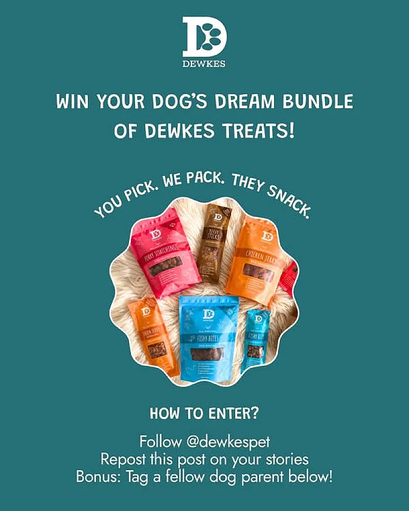 Win Dewkes Dream Box of Dog Treats