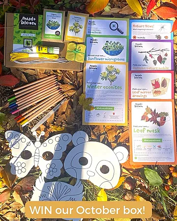 Prize image for Win the October Mud & Bloom Nature Crafts & Gardening Box