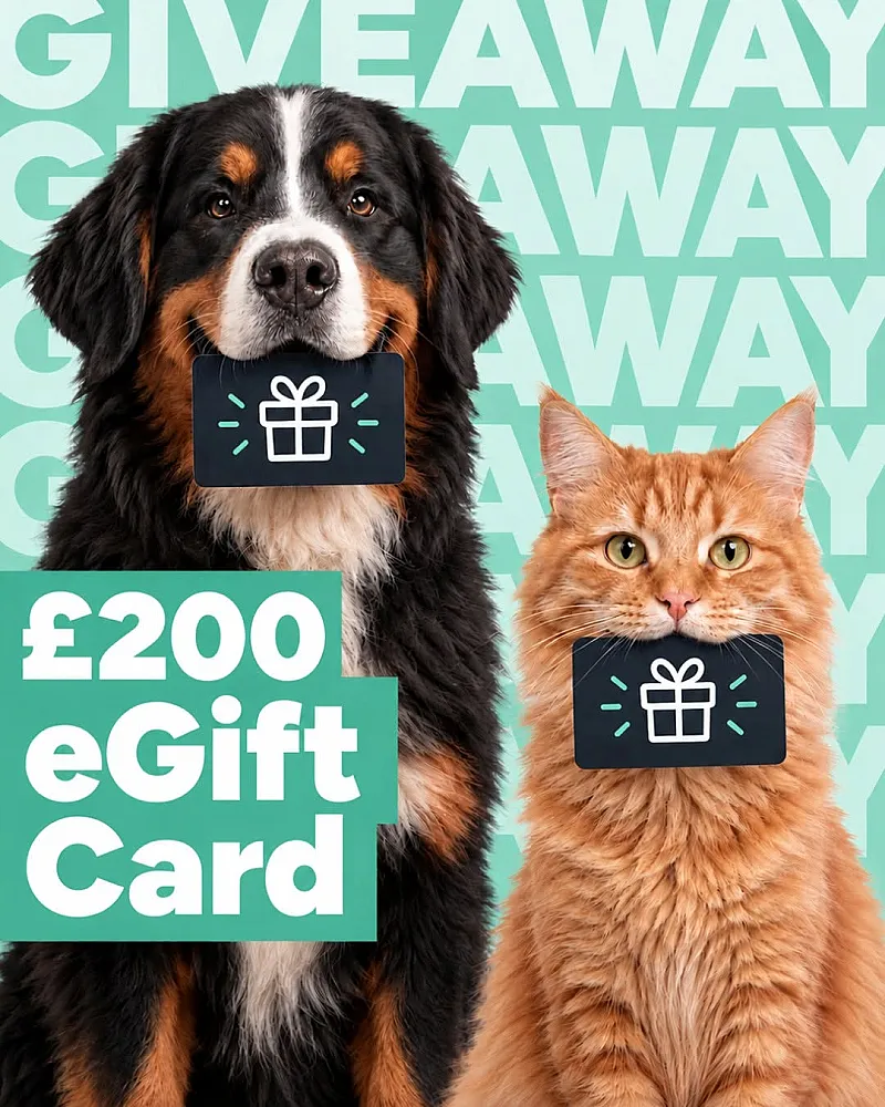 Win a £200 Amazon eGift card