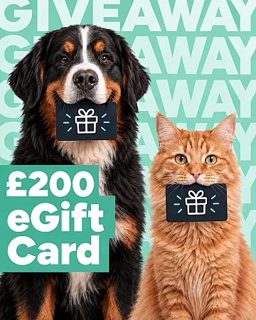 Prize image for Win a £200 Amazon eGift card