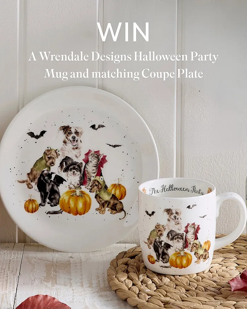 Win Wrendale Designs Halloween Party Mug and matching Coupe Plate