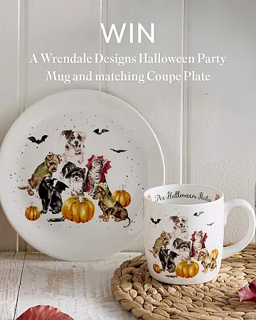 Prize image for Win Wrendale Designs Halloween Party Mug and matching Coupe Plate