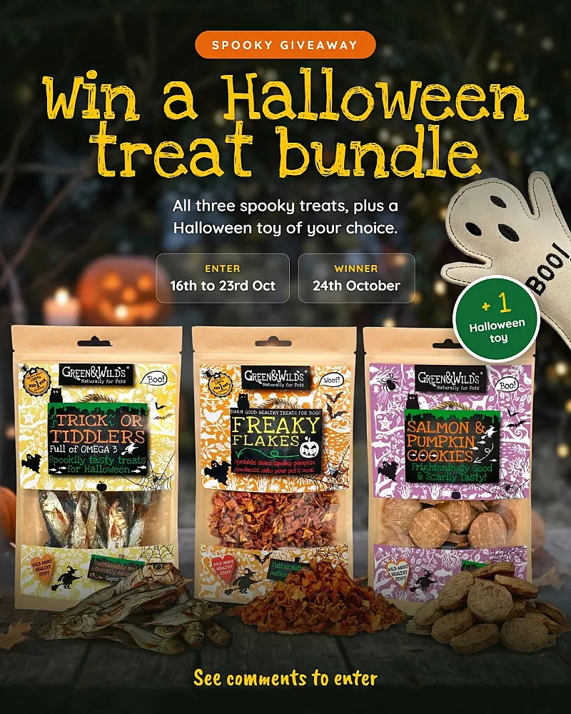 Win Three Dog Treats and a Halloween Toy
