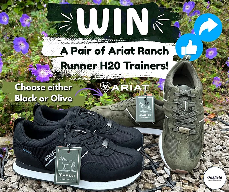 Win a Pair of Ariat Ranch Runner H20 Trainers