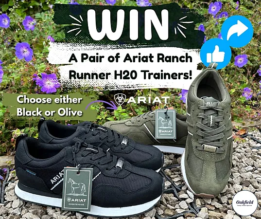 Prize image for Win a Pair of Ariat Ranch Runner H20 Trainers