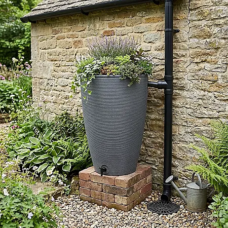 Prize image for Win an Amesbury Feature Water Butt
