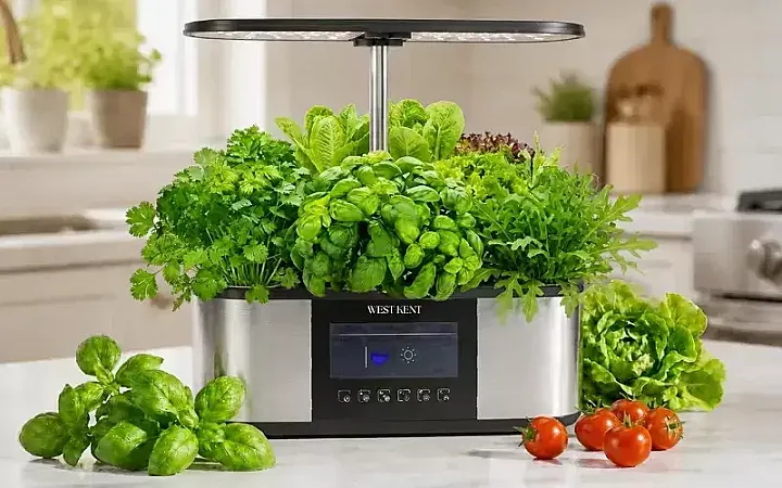 Prize image for Win a West Kent 21 Pod Smart Garden Deluxe
