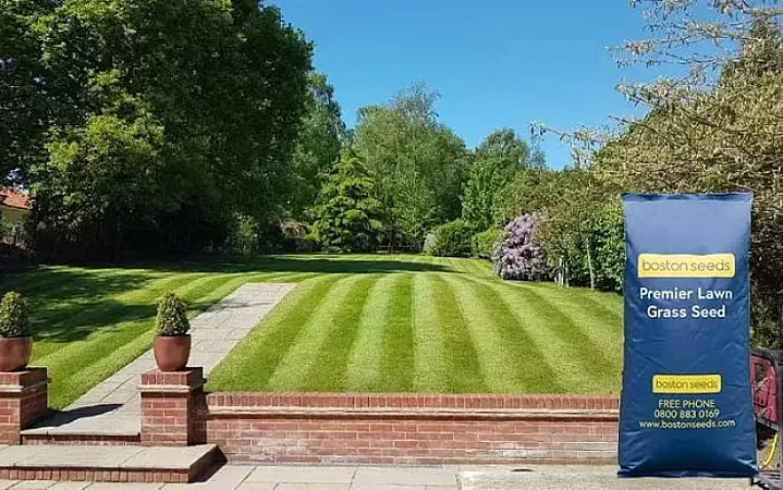 Prize image for Win £100 Boston Seeds gift voucher x3