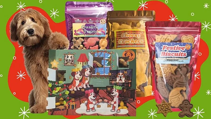 Win a Vegan Dog Treat Bundle Including Advent Calendar and Treats