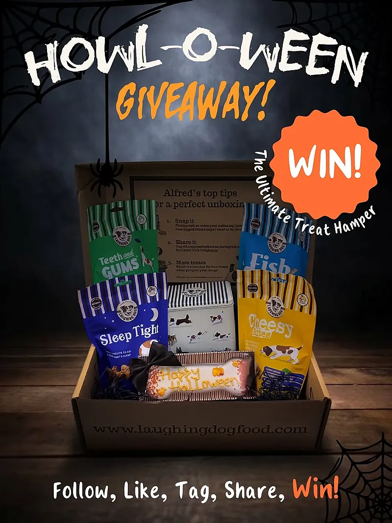 Win Laughing Dog Food Halloween Hamper