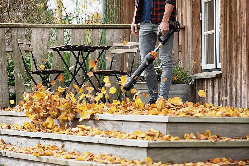 Newsletter Subscription - Worx UK