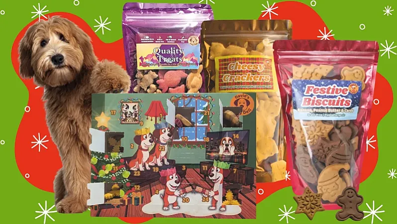 Win a Vegan Dog Treat Bundle Worth Over £25