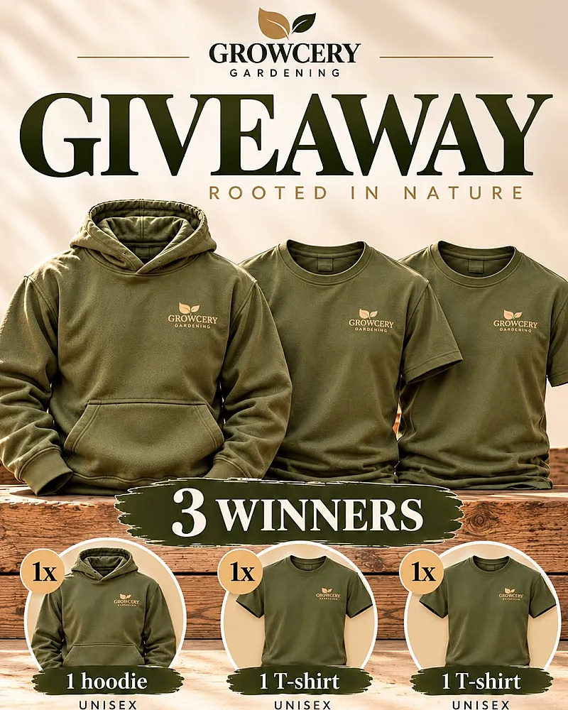 Win Olive green Growcery clothing: 1 hoodie + 2 T-shirts to 2 Runner up winners