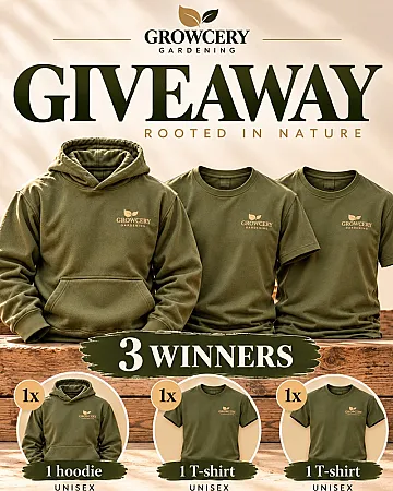 Prize image for Win Olive green Growcery clothing: 1 hoodie + 2 T-shirts to 2 Runner up winners